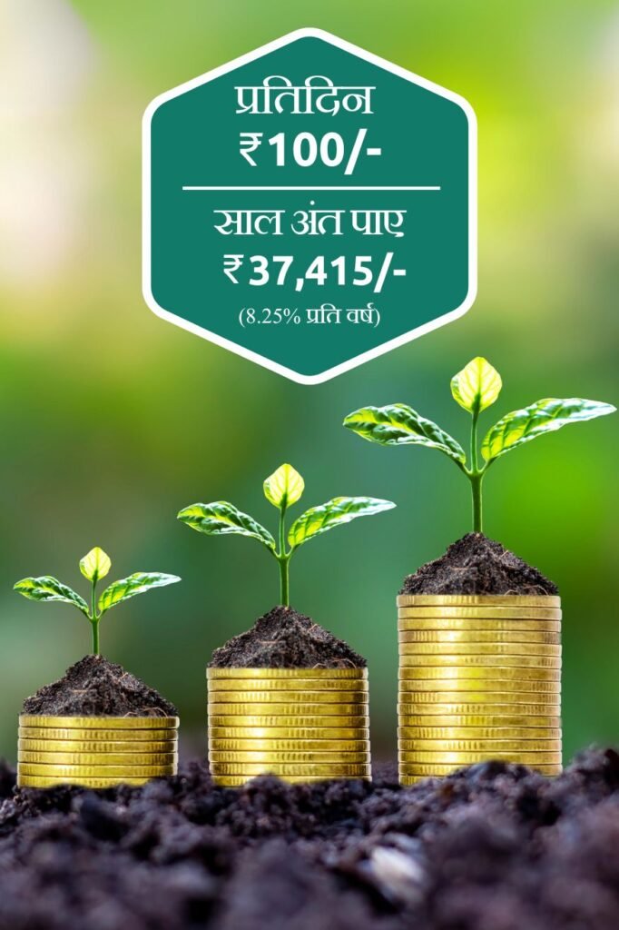 Shree Greenies - Benefits of the Daily Invest Scheme