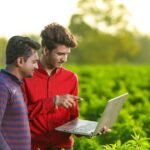 Daily Investment Scheme for Consistent and Safe Growth