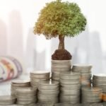 Power of Consistency with a Low Cost Invest Scheme