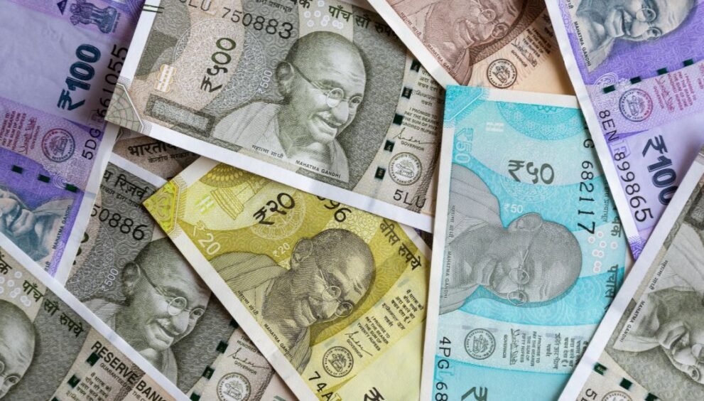 Shree Greenies - Building Financial Stability with the Daily 500 Rupees Scheme