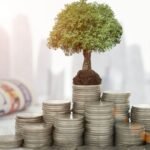 Build Long-Term Financial Stability with a Low Invest RD Scheme