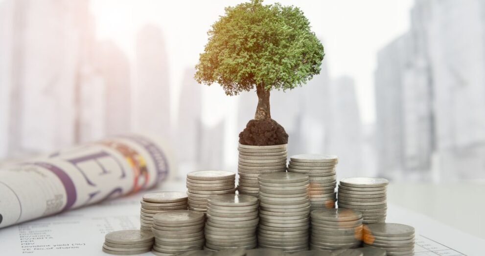 Small tree grows from soil atop stacked coins, symbolizing financial growth and investment.