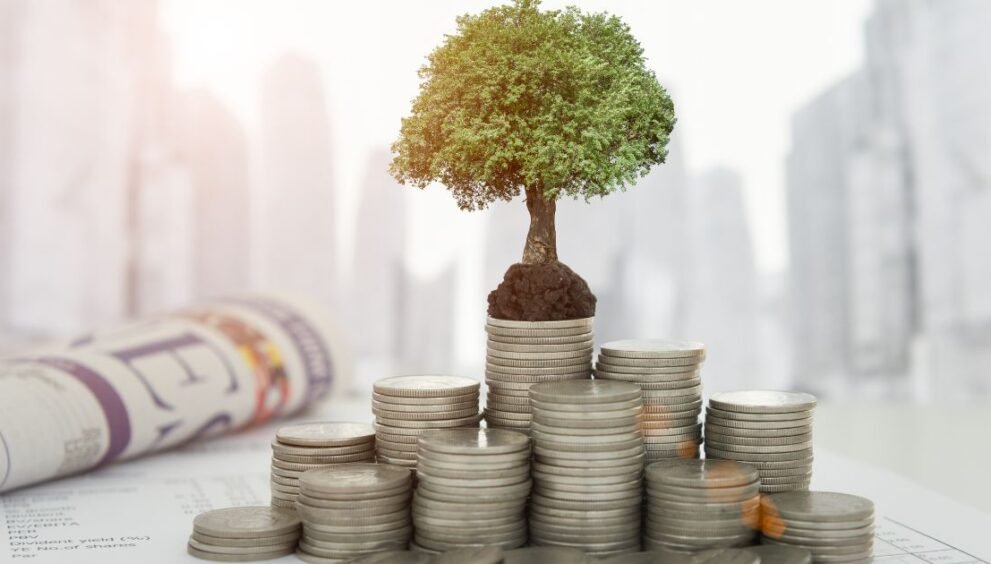 Small tree grows from soil atop stacked coins, symbolizing financial growth and investment.